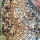 Black Saree with Golden Sequins Magic