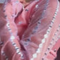 Ready-to-Wear Lehenga Saree