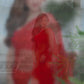 BOLLYWOOD DESIGNER SEQUINS SAREE